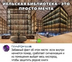 Ну да, ну да...
Читатели ведь не такие редкие, зачем им кислород...