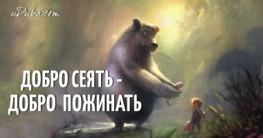 Осиротевшему медвежонку нашли новую маму