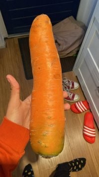 Вещи, которые оказались настолько огромными, что этот мир им явно маловат