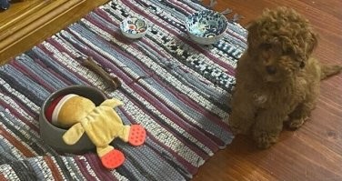 Где деньги, Лебовски?