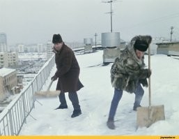 Московские дворники-мигранты целый день делали вид, что работают