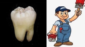 Слева мОляр, справа мАляр- не перепутай, Кутзов!