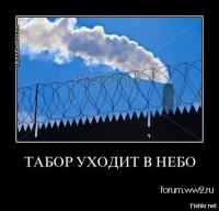 "Воруют румыны, а цыгане берут свое": потомки Будулая запустили новый челлендж