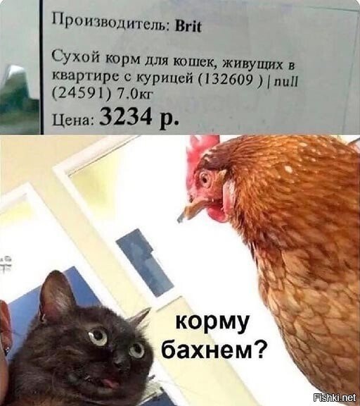 Курица:
-Ты уже не тот за которого я выходила...