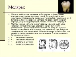 Слабоумие и отвага, или типичные трудовые будни сисадминов