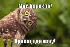 "Мы против коляски": в подмосковном посёлке председатель домкома закатила скандал из-за коляски