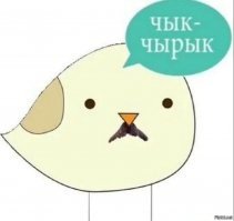 Смешные и познавательные картинки