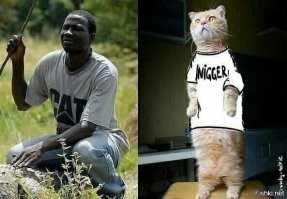 Черный, адский, убойный: подборка свежего экспериментального юмора