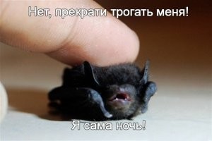 Свирепый хищник