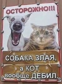 17  случаев, когда за табличкой «Осторожно, злая собака!» скрывался сюрприз