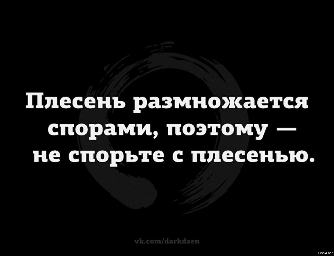 Пору добавить. Плесень размножается спорами не спорьте с плесенью. Плесень размножается спорами. Плесень размножается спорами поэтому. Плесень размножается спорами, поэтому не спорьте.