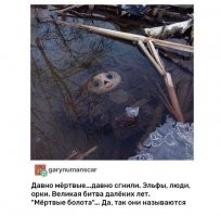 Как проходит обычный день в нашей необъятной стране
