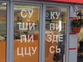 Кота в студию!