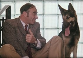 Ну, насчёт психолога и собаки (фотка № 26) лучше прикрепить эту фотку: