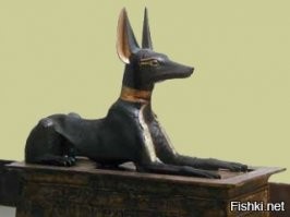 Голова явно не пропорциональна телу (возможно это была собака)