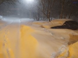 Мы уже вторую неделю во дворе трактор ждём . Уже звонили в управляющую компанию, ругались, толку ноль. Зато объявления на двери подъезда каждый раз обновляются: ждите 19-го, 21-го, 22-го... А трактор всё никак доехать не может. Зато соседний двор чистят каждый день!
Дорога начинается как раз где бампер машины.