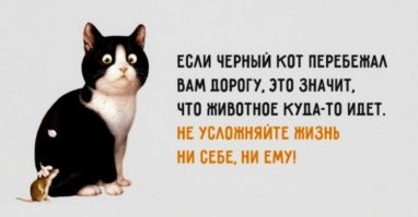 Почему в большинстве фильмов Леонида Гайдая присутствуют кошки