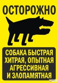 17  случаев, когда за табличкой «Осторожно, злая собака!» скрывался сюрприз