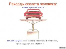 Что то типа этого было. С ГАЗ-24.