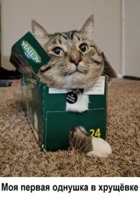 скорее современная студия