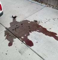 Этим людям просто не повезло