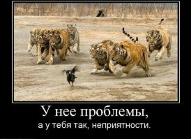 Этим людям просто не повезло
