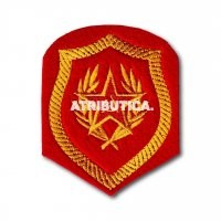 Вот что у них за шеврон, и шевронов такой формы и цвета уже лет 30 как нет.