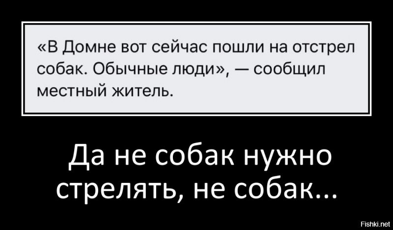 В забайкальском селе мужики взялись за ружья после того, как собаки загрызли ребёнка