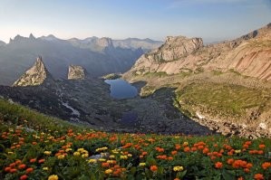 Нууу, не на заднем дворе,  а 15 минут на автобусе из городской квартиры,  с вершины вижу дом,  из дома верхушку этой горы "Такмак",  Красноярск.  

А ниже, с цветами,  Ергаки,  тоже Красноярский край, но поюжнее.  Ближе к Тыве.