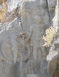 Великаны на Земле