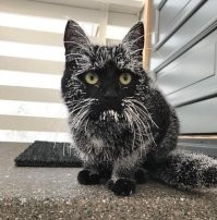 Зима — это умелый художник, который создаёт свои лучшие шедевры