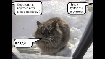 Зима — это умелый художник, который создаёт свои лучшие шедевры