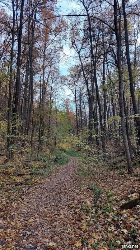 И это всё Россия