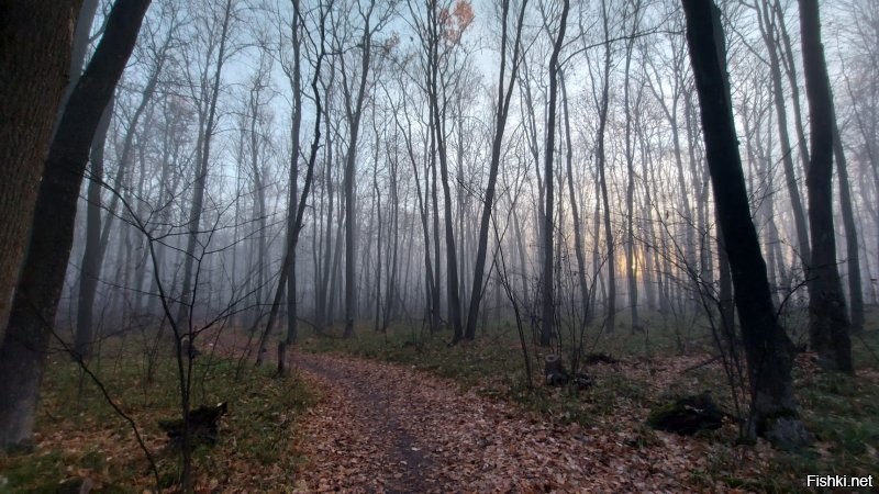 И это всё Россия