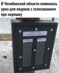 Самая большая кучка была рядом, прямо на земле.)))