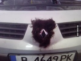 При желании и это увидите.