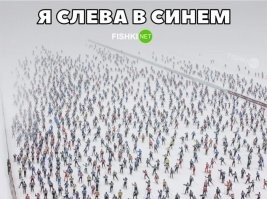 Смешные и познавательные картинки