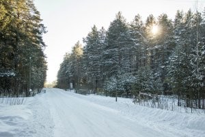 35 пейзажей из серии "Пришел, увидел, обалдел"