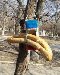 Кормушки и скворечники