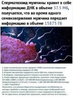 Дык смотришь на некоторых - и думаешь, та яйцеклетка слепая, ля, штоле?.. :stinker: