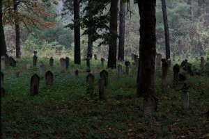 Да ладно, это всё временные трудности - нужно лет 50-70 подождать и все эти кладбища превратятся в замечательные парки. Просто нужно терпение...