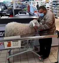 С вами точно всё в полном порядке, а вот с нашей реальностью не очень