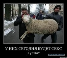 С вами точно всё в полном порядке, а вот с нашей реальностью не очень