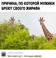 Фотоподборка