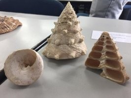 Это фото вызвало у меня приступ трипофобии