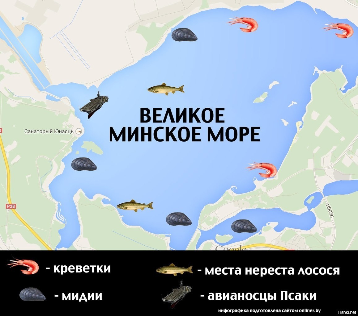 в белоруссии есть море