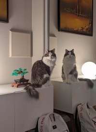 Это просто не удачный Фотошоп.