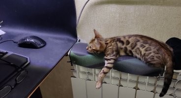 Мое еще мелкое чудище :)