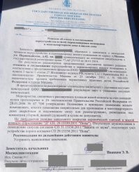 Кот, достойный "Оскара"