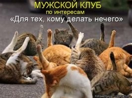 Автор! Без обид!